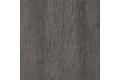Dub černý