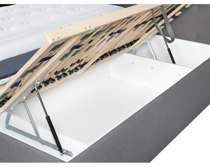 Rošty - čalouněná postel Venus DT