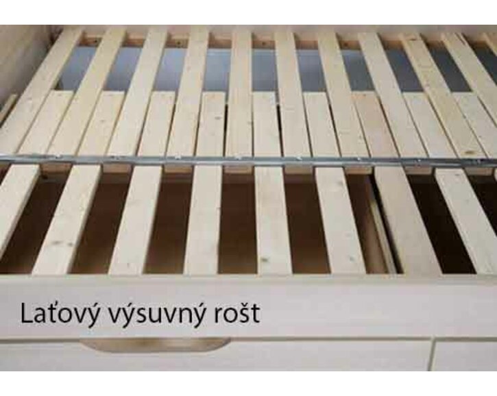 latový rost BMB.jpg